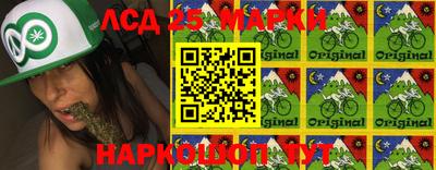 индика Донской