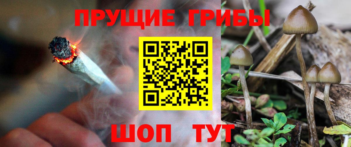 Галлюциногенные грибы MAGIC MUSHROOMS  Вход с VPN  Кыштым 