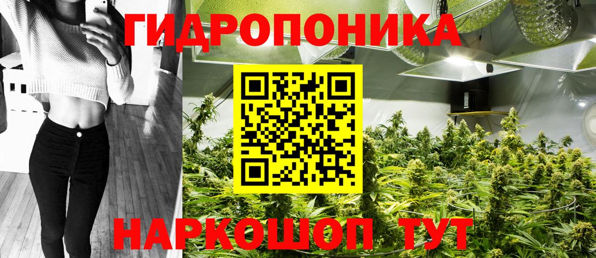 Конопля OG Kush Кыштым